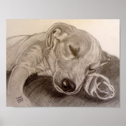 Slaperij Poster (Voorkant)