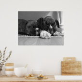 Slaperij puppies dovasafdruk poster (Keuken)