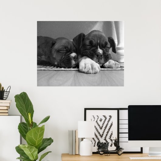 Slaperij puppies dovasafdruk poster (Thuiskantoor)