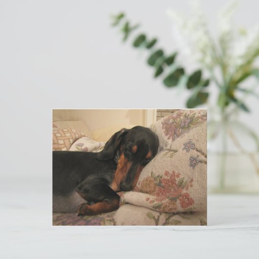 Slapertijd Briefkaart (Staand voorkant)