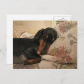 Slapertijd Briefkaart (Voorkant / Achterkant)