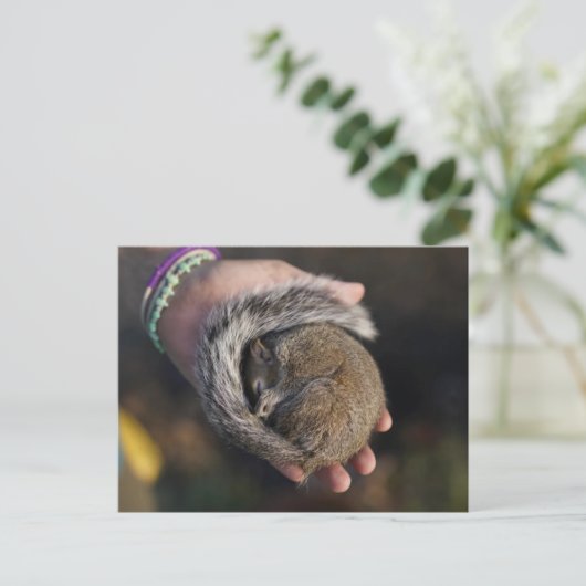 Slapertje Briefkaart (Staand voorkant)