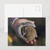 Slapertje Briefkaart (Voorkant / Achterkant)