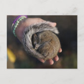 Slapertje Briefkaart (Voorkant)