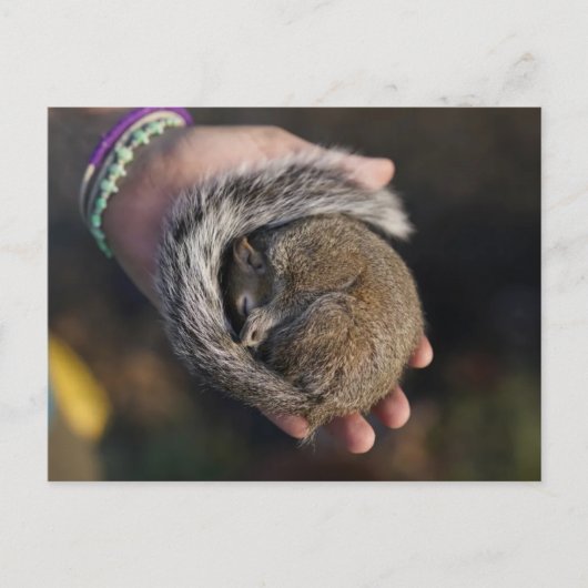 Slapertje Briefkaart (Voorkant)