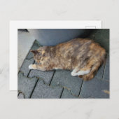 Slapertskat Briefkaart (Voorkant / Achterkant)