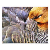 SLAPING FOTO AFDRUK (Voorkant)