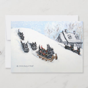 Slaping van Schotse Terriers