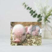 Slapjes Briefkaart (Staand voorkant)