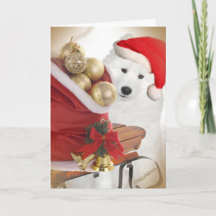 Slapkaarten voor Samoyed Friends Feestdagen Kaart