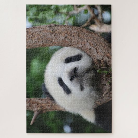 Slappanda-beer op een boom legpuzzel (Verticaal)