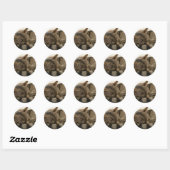 Slaptende kat ronde sticker (Vel)