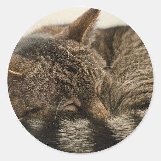 Slaptende kat ronde sticker (Voorkant)