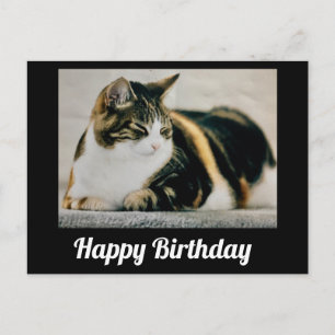 Slapy Calico Cat Cute Happy Birthday Briefkaart