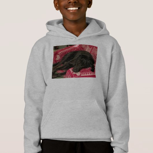 Slapy Dog Kinder Gedekt Sweatshirt (Voorkant)