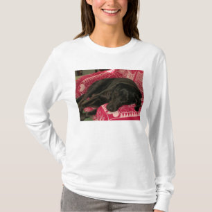 Slapy Dog Womens Geboste Sweatshirt