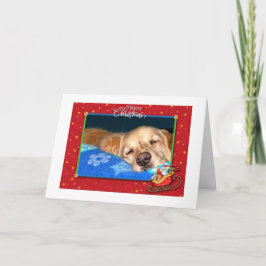 Slapy Golden Retriever Holiday Greeting Kaart