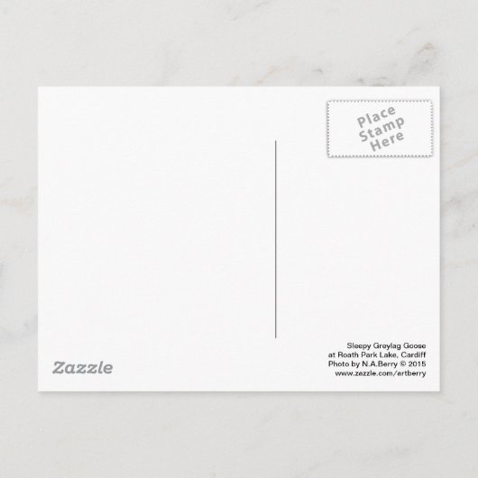 Slapy Graylag Goose (zwart en wit) Briefkaart (Achterkant)