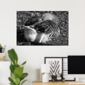 Slapy Graylag Goose (zwart en wit) Poster (Thuiskantoor)
