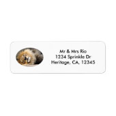 Slapy Lion Wink Address Label (Voorkant)