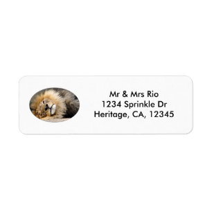 Slapy Lion Wink Address Label