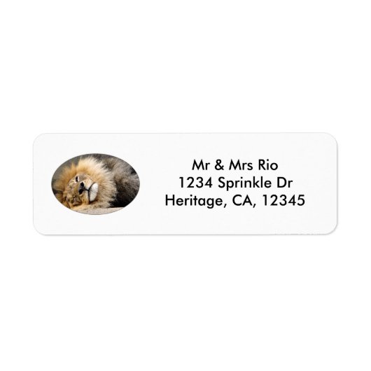 Slapy Lion Wink Address Label (Voorkant)