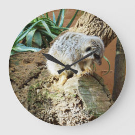 Slapy Meerkat op een log, Grote Klok