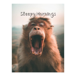 Slapy Mornings - Yawning monkey Foto Afdruk