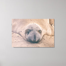 Slapzegel Canvas Afdruk