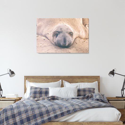 Slapzegel Canvas Afdruk (Insitu (Slaapkamer))