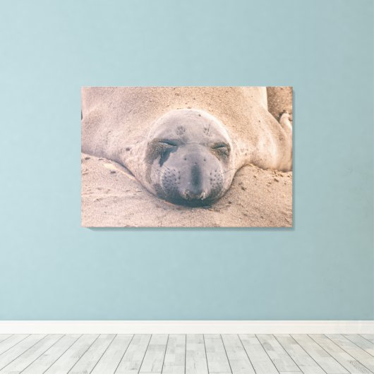 Slapzegel Canvas Afdruk (Insitu (Houten vloer))