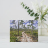 Slash dennenbos, Zag Palmettos, Big Cypress NP Briefkaart (Staand voorkant)