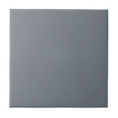 Slate Downing Grey Square Kitchen en Bathroom Tegeltje (Voorkant)