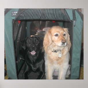 Slate en Sasha Poster