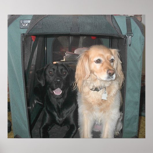 Slate en Sasha Poster (Voorkant)