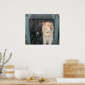 Slate en Sasha Poster (Keuken)