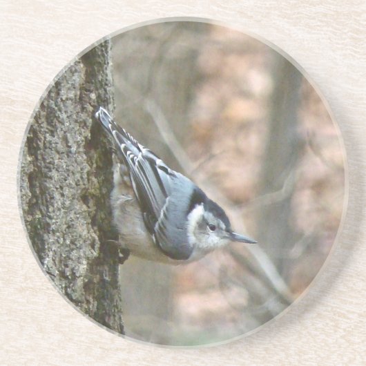 Slate Gray Nuthatch Songbird Zandsteen Onderzetter (Voorkant)