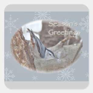 Slate Greetings Gray Nuthatch Songbird Seasons Vierkante Sticker