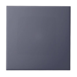 Slate Grey Kleur Effen Kleur | #56586c Tegeltje