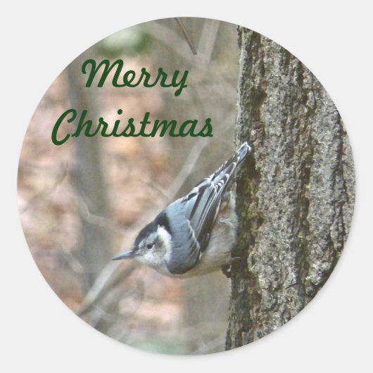 Slate Grey Nuthatch Kerstkerstfeestbeest Ronde Sticker (Voorkant)