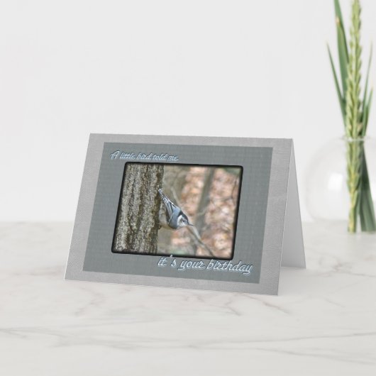 Slate Grey Nuthatch Verjaardag Songbird Kaart (Voorkant)