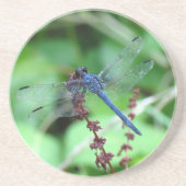 Slatey Skimmer Dragonfly Onderzetter (Voorkant)