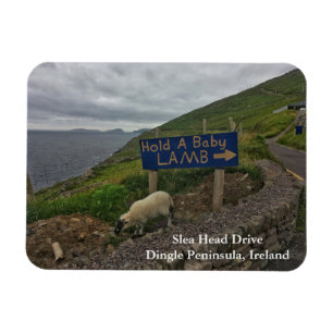 Slea Head Drive Dingle Peninsula, Ierland Magnet Magneet