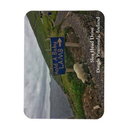 Slea Head Drive Dingle Peninsula, Ierland Magnet Magneet (Verticaal)