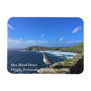 Slea Head Drive, Dingle Peninsula, Ierland Magnet Magneet