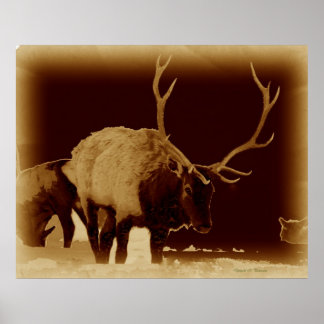 slecht 2 het bot poster