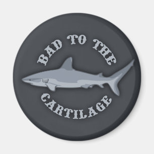 Slecht aan het Kraakbeen Magneet