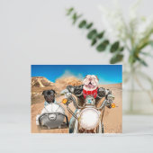 Slecht voor de botte briefkaart (Staand voorkant)