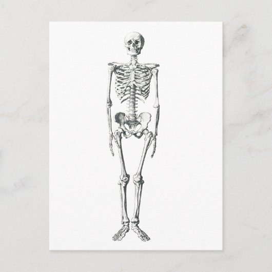 Slecht voor het bot briefkaart (Voorkant)