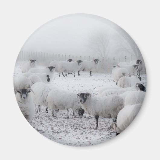 Slecht weer magneet (Voorkant)